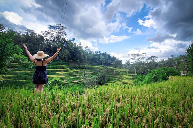 UBUD : Temple and Waterfall All Inclusive Day Tour - Tegalalang Rice Terrace shows the Subak system
