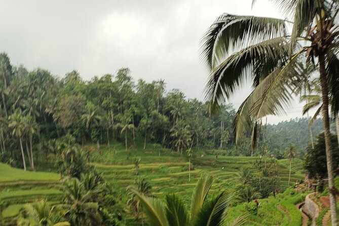 UBUD : Temple and Waterfall All Inclusive Day Tour - The private format makes Tiiko’s guiding more useful