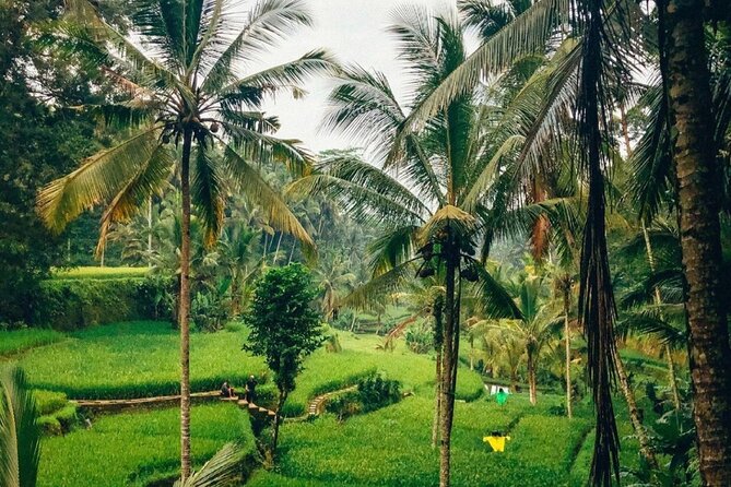Ubud Temples, Waterfalls, Rice Terraces & Balinese Culture - What the private van and guide add