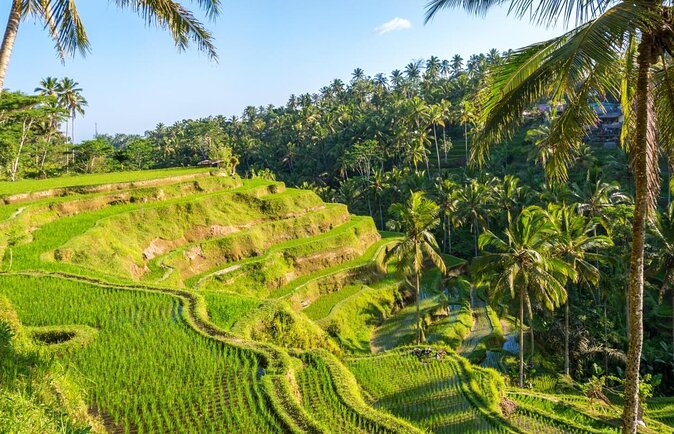 Ubud Top Attractions: Waterfalls, Temples and Rice Terraces - Key points at a glance