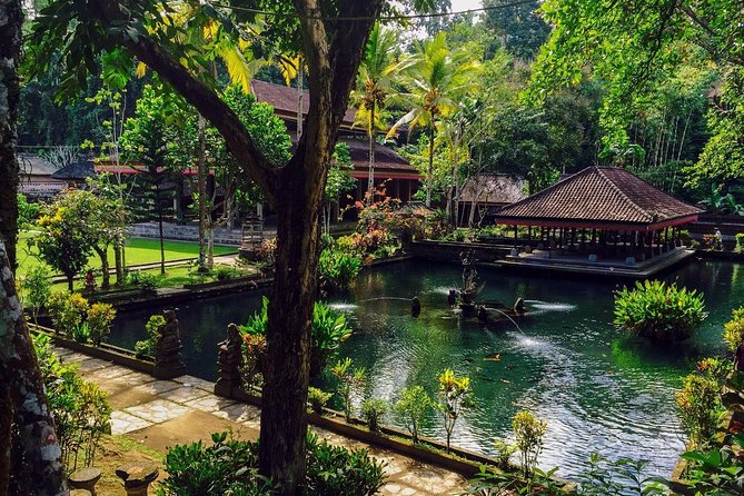 Ubud Top Attractions: Waterfalls, Temples and Rice Terraces - Lunch at D Alas Warung