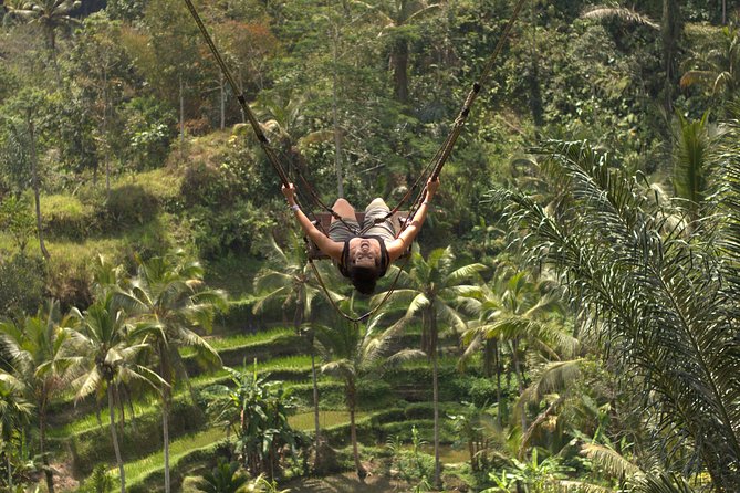 Ubud Top Attractions: Waterfalls, Temples and Rice Terraces - The driver can make or break the day