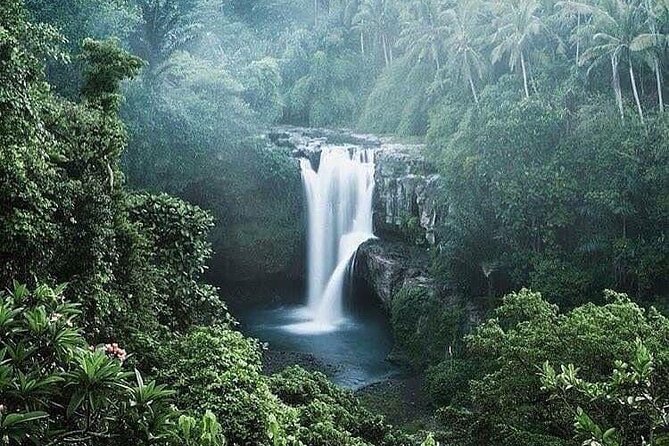 Ubud Top Tours to Discover Bali’s Cultural and Natural Wonders - What your private driver-guide adds