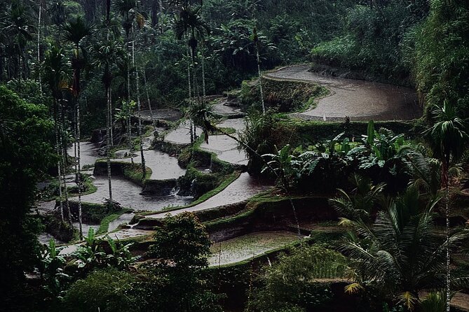 Ubud Top Tours to Discover Bali’s Cultural and Natural Wonders - Is $64 good value for this Bali day tour?