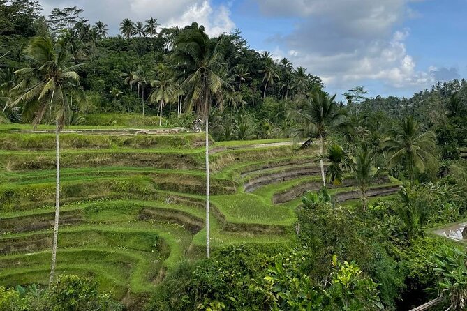 Ubud Tour - Highlight of Ubud - Traditional Tour - Why This Ubud Route Works