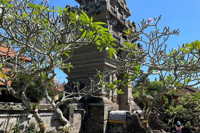 Ubud Tour - Highlight of Ubud - Traditional Tour - The Sacred Monkey Forest Sanctuary