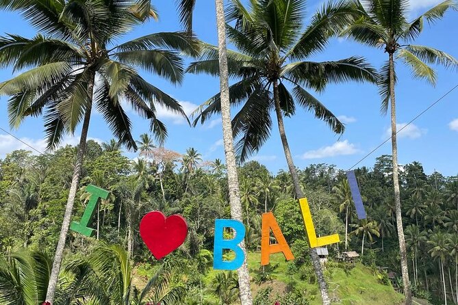 Ubud Tour - Highlight of Ubud - Traditional Tour - Tegenungan Waterfall and the Nature Stops
