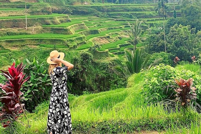 Ubud Tour - Ubud Highlight - Private Tour All inclusive - Tegenungan Waterfall starts the day with a splash