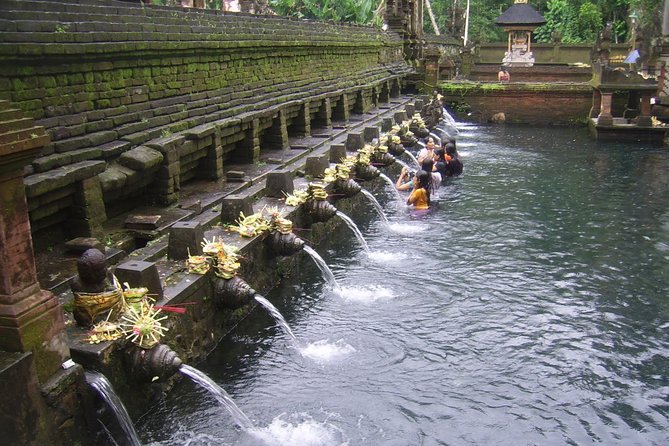 Ubud Tour - Ubud Highlight - Private Tour All inclusive - Lunch at D Alas Warung gives the schedule a scenic pause