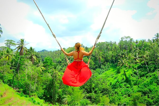 Ubud Tour with Jungle Swing and Waterfall Water Temple - Sacred Monkey Forest, where nature and culture share the path