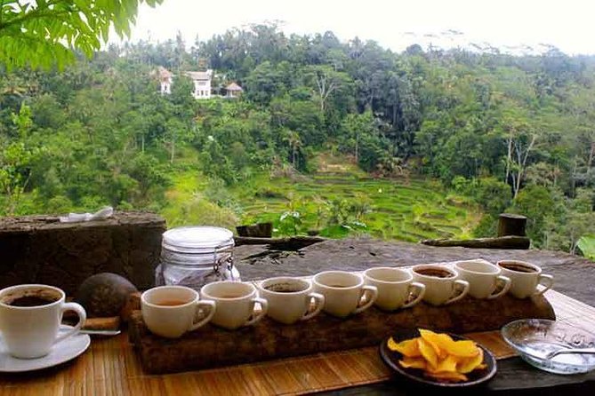 Ubud Trip, The Best of Ubud in a day - All Inclusive - Tirta Empul: approach the holy water with care