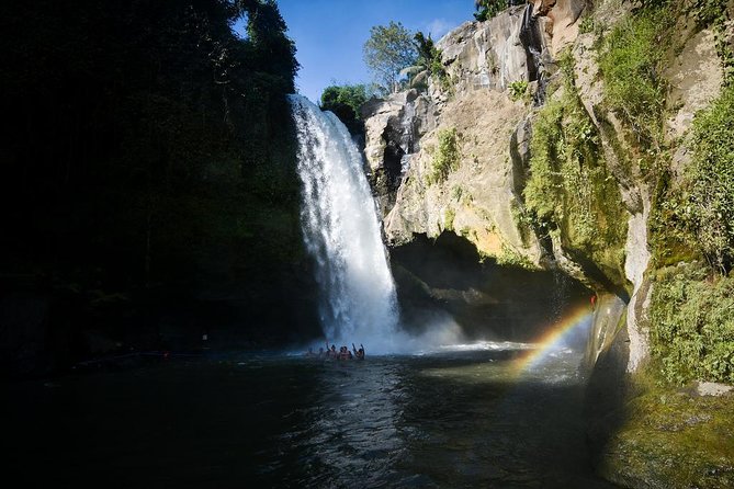 Ubud Village Sightseeing, Famous Paddy Field And Ubud Waterfall - Tirta Empul: the day’s most meaningful cultural stop