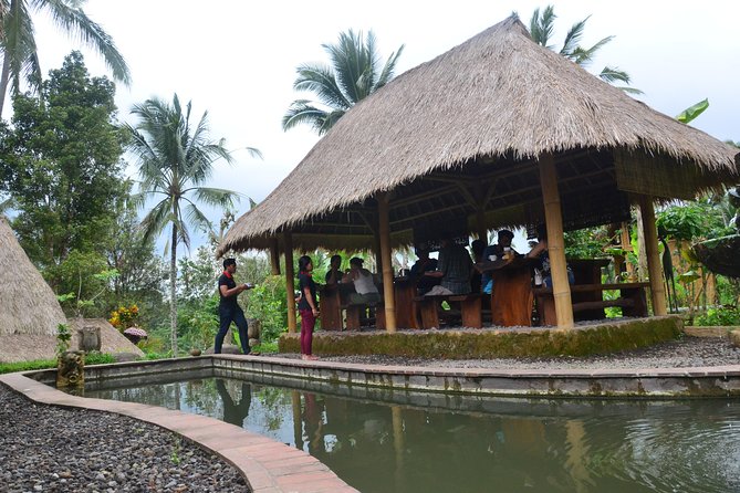 Ubud Village Sightseeing, Famous Paddy Field And Ubud Waterfall - Tegenungan Waterfall: a wet finish if you want one