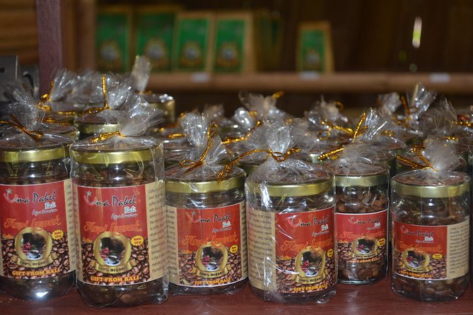 Ubud Village Sightseeing, Famous Paddy Field And Ubud Waterfall - What the $45 price includes, and what it does not