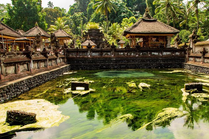Ubud Village Sightseeing, Famous Paddy Field And Ubud Waterfall - Who will get the most from this day