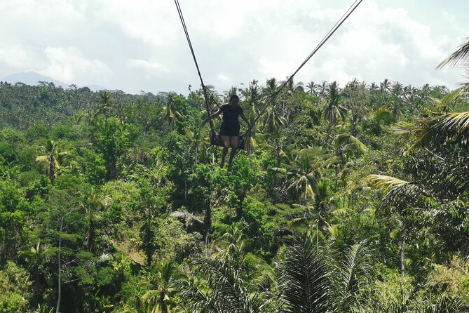 Ubud Village, Tegalalang Rice Terrace Swing, Tirta Empul Temple and Waterfafall - Campuhan Ridge Walk and Ubud’s Beginnings