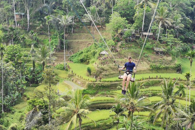 Ubud Village, Tegalalang Rice Terrace Swing, Tirta Empul Temple and Waterfafall - Who Will Enjoy This Bali Day Tour?