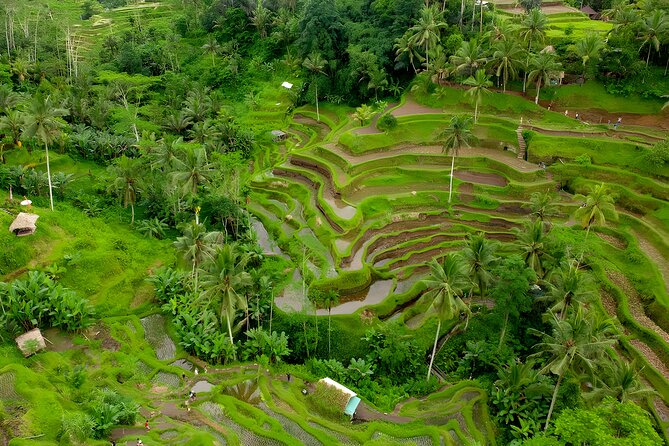 Ubud Village, Waterfall and Kintamani Volcano Tour - Kintamani and Lake Batur supply the day’s best view
