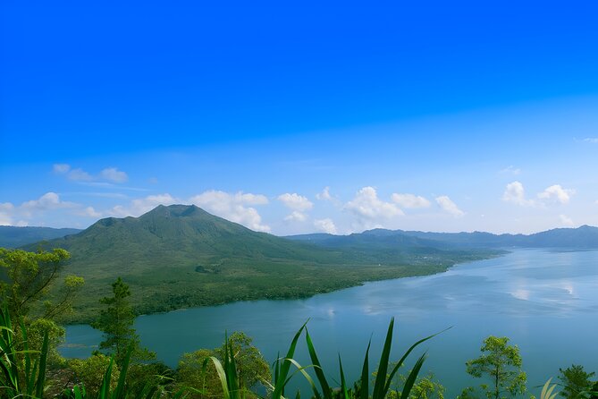 Ubud Village, Waterfall and Kintamani Volcano Tour - Your driver is the key part of the experience