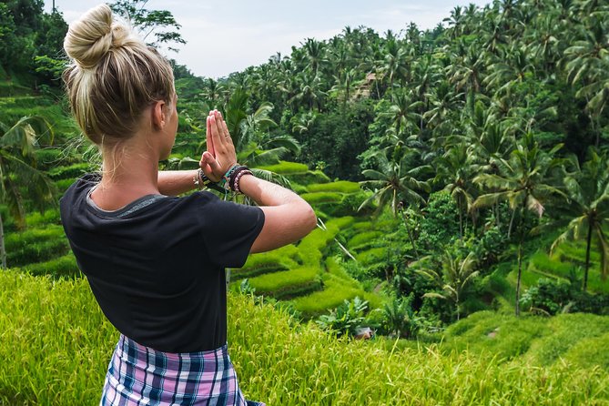Ubud Volcano Lake and Natural Hot Spring Tour - Why this private Ubud day works so well