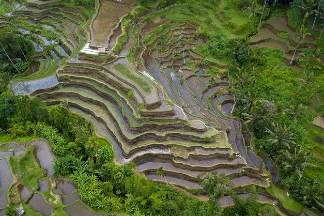 Ubud Volcano Lake and Natural Hot Spring Tour - Batur Natural Hot Springs: the day’s easiest hour