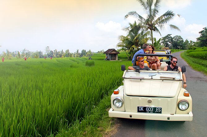 Ubud VW Safari Bali Tour - Volkswagen Classic Car Trip - Pickup from south Bali adds real value