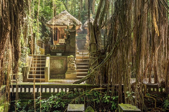 Ubud: Waterfall, Rice Terraces, and Monkey Forest Private Tour - Tegalalang Rice Terrace and the subak system