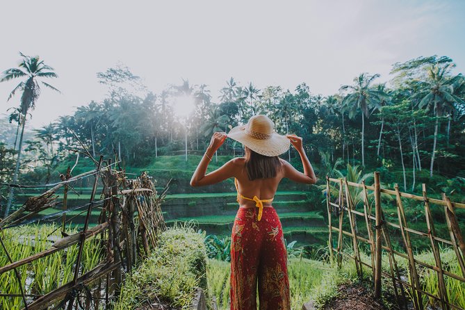 Ubud: Waterfall, Rice Terraces, and Monkey Forest Private Tour - Sacred Monkey Forest: close views of long-tailed macaques