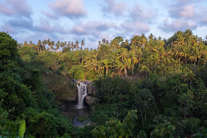 Ubud waterfall, rice terraces, and swing explore - What to bring and how to pace yourself