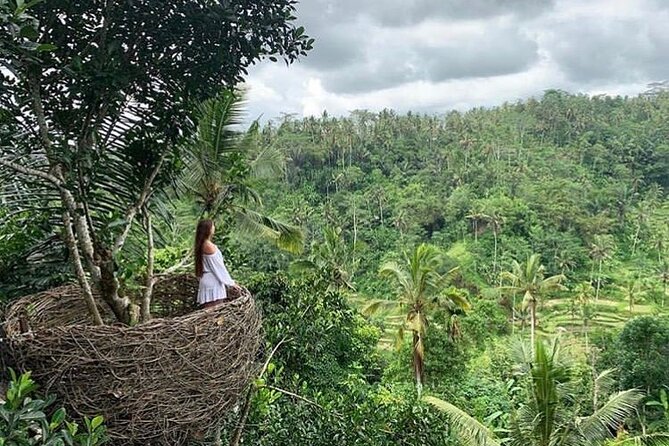 Ubud waterfall, rice terraces, and swing explore - Who should book this Ubud outing