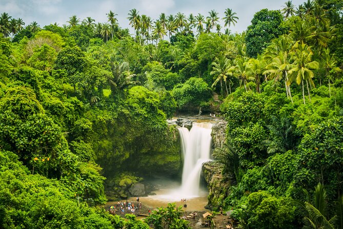 Ubud waterfall, rice terraces, and swing explore - Cancellation and booking details to keep in mind