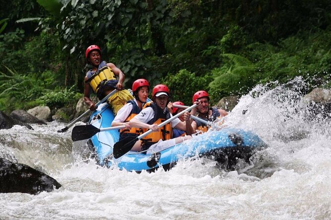 Ubud White Water Rafting with Waterfall and Lunch - Quick points before you book