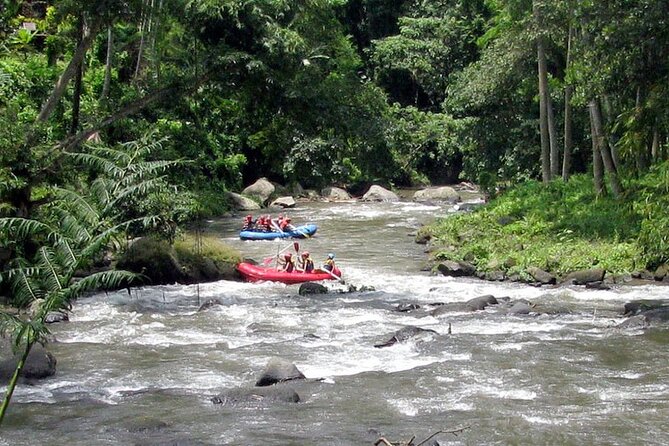 Ubud White Water Rafting with Waterfall and Lunch - What the safety setup means for first-timers