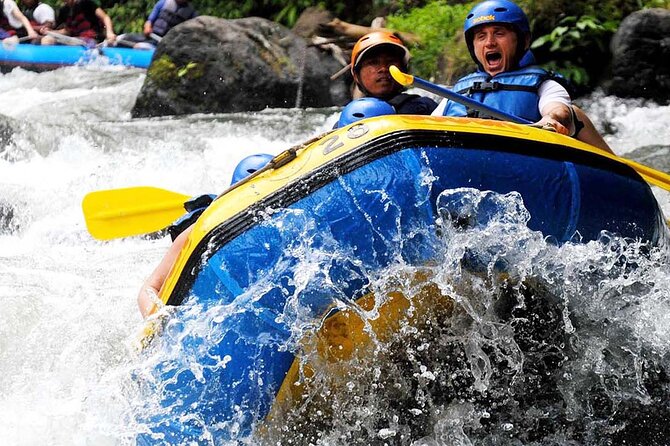 Ubud White Water Rafting with Waterfall and Lunch - Is $26.97 good value?