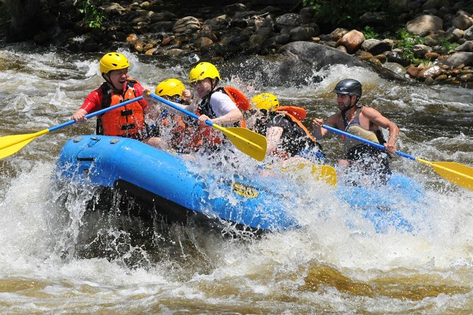 Ubud White Water Rafting with Waterfall and Lunch - Who should choose this Ubud rafting trip?