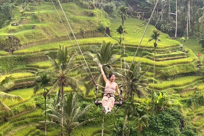 Ubud Wonderful Day Tour - Is $40 a sensible price?