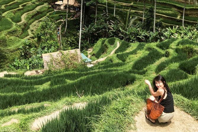 Ultimate Ubud Experience All Inclusive Private Day Tour - Tegenungan Waterfall closes the sightseeing circuit