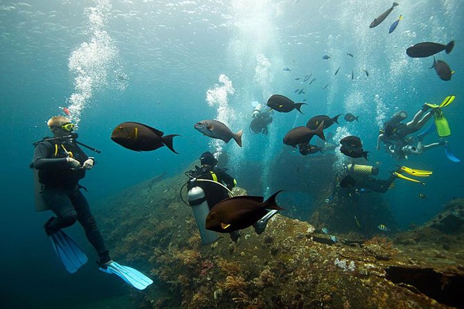 USS Liberty Shipwreck Scuba Diving at Tulamben Bali - Why the USS Liberty is worth the long ride