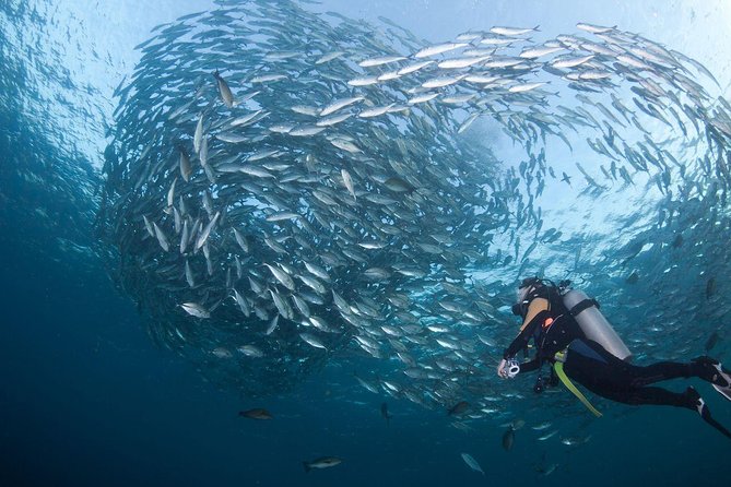 USS Liberty Shipwreck Scuba Diving at Tulamben Bali - First session: getting to know the Liberty