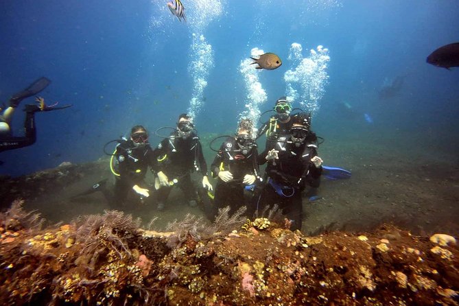 USS Liberty Shipwreck Scuba Diving at Tulamben Bali - Lunch, showers, and the midday break
