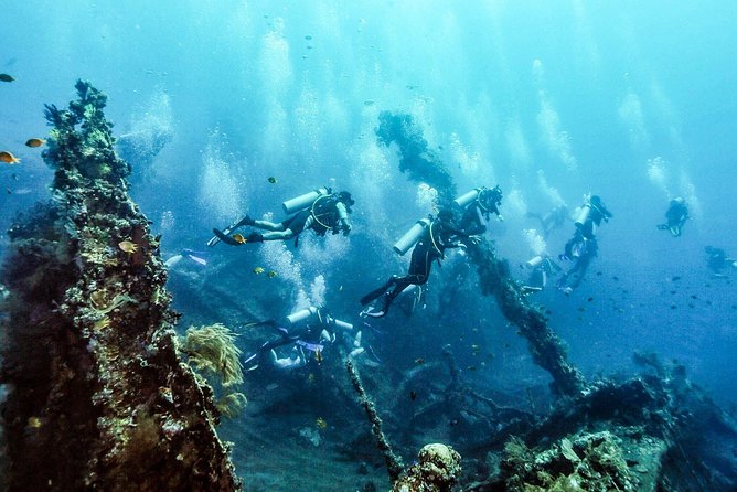 USS Liberty Shipwreck Scuba Diving at Tulamben Bali - Second session: coral, fish, and small creatures