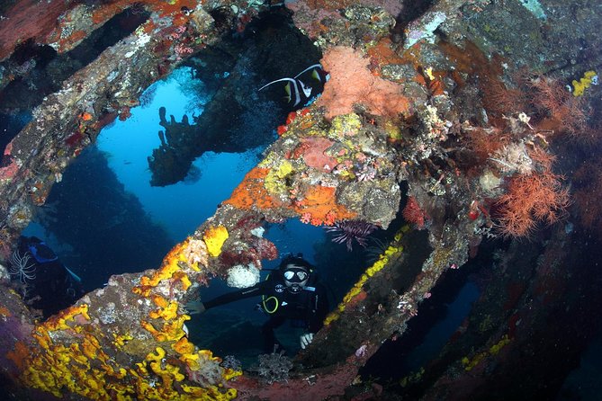 USS Liberty Shipwreck Scuba Diving at Tulamben Bali - Guides, safety, and the beginner question