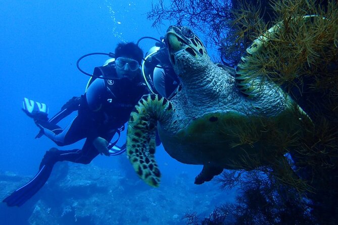 USS Liberty Shipwreck Scuba Diving at Tulamben Bali - Entering the water from Tulamben beach
