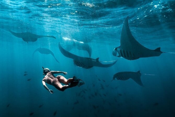 VIP Private Boat to Nusa Penida: Snorkeling with Mantas + Land Tour Adventure - Crystal Bay, one hour near the west coast