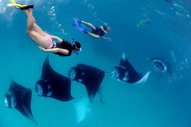 VIP Private Boat to Nusa Penida: Snorkeling with Mantas + Land Tour Adventure - What the $849 price buys you