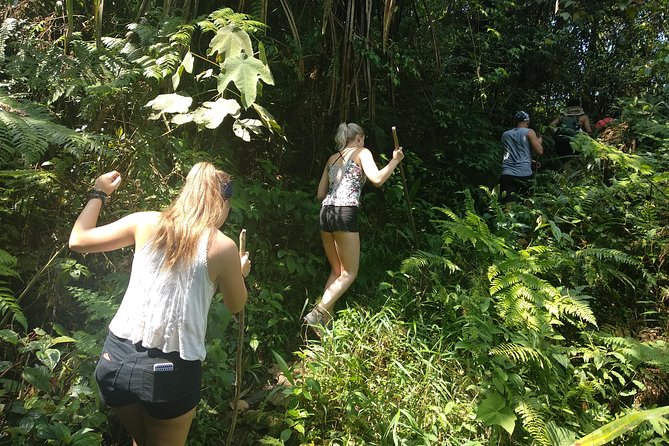 volcano hike and jungle trekking adventure - Lunch, river views, and a change of pace