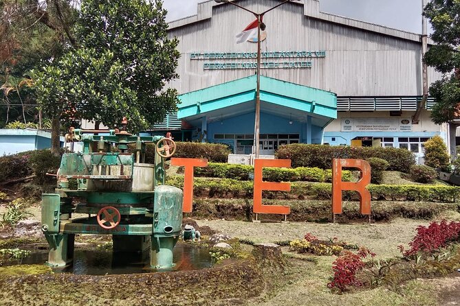 Volcano, Hot Spring, Tea Factory, rice fields and Coffee Tour - From Jakarta to Subang’s rice fields