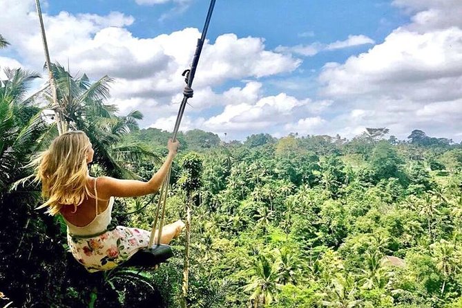 Water Rafting adventure with Jungle Swing & rice terraces - Who This Private Bali Tour Suits Best