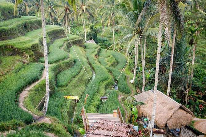 Water Rafting adventure with Jungle Swing & rice terraces - Lunch and the Value of the $36 Price