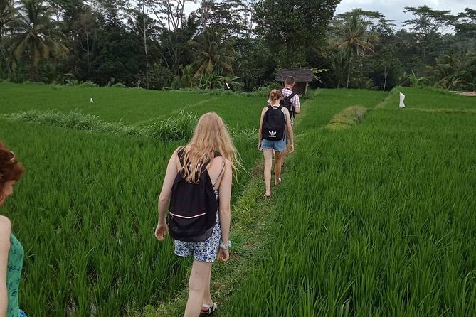 Waterfall Tour And Sasak Traditional Tour - Private Transport From Hotels or Lembar Port